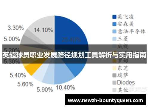 英超球员职业发展路径规划工具解析与实用指南 英超球员职业发展路径规划工具解析与实用指南