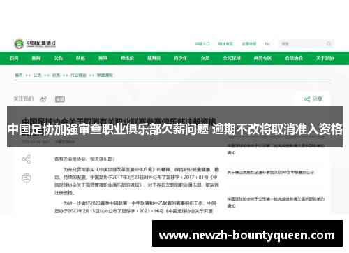中国足协加强审查职业俱乐部欠薪问题 逾期不改将取消准入资格