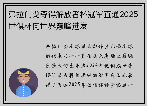弗拉门戈夺得解放者杯冠军直通2025世俱杯向世界巅峰进发 弗拉门戈夺得解放者杯冠军直通2025世俱杯向世界巅峰进发